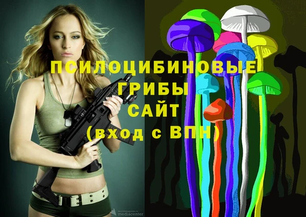 прущие крисы Алзамай