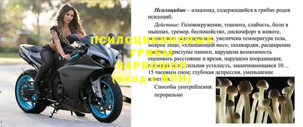 мдпв Алексин