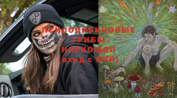 прущие крисы Алзамай