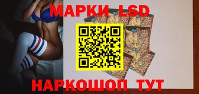 индика Кингисепп