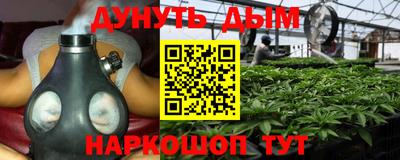 индика Кингисепп