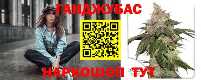 индика Кингисепп