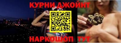 индика Кингисепп
