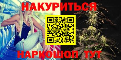 индика Кингисепп