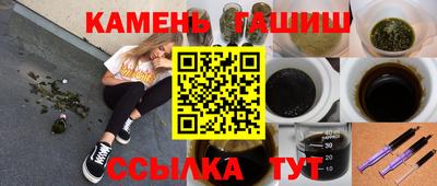 индика Кингисепп