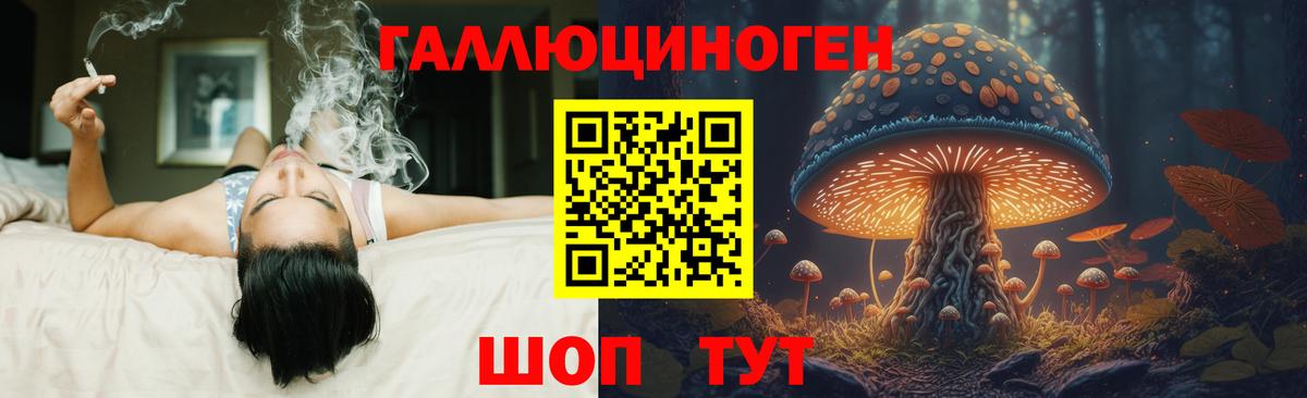 Галлюциногенные грибы Psilocybine cubensis  Вход с VPN  Крымск  Галлюциногенные грибы Psilocybe 